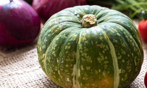 Squash Nouvelle-Calédonie