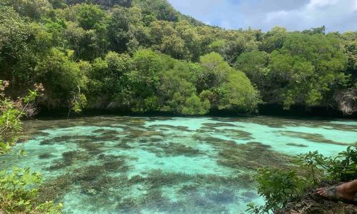 que faire a maré, l'aquarium naturel